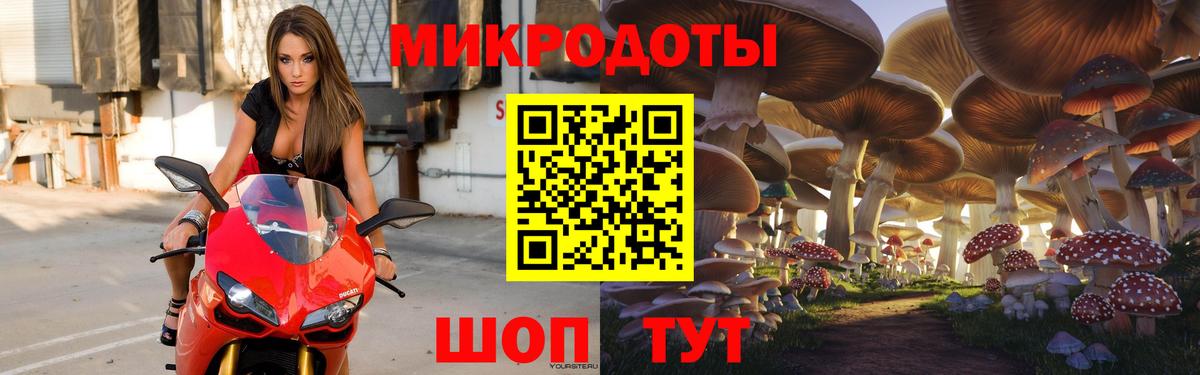 Салават  Галлюциногенные грибы Psilocybe  Вход с VPN 